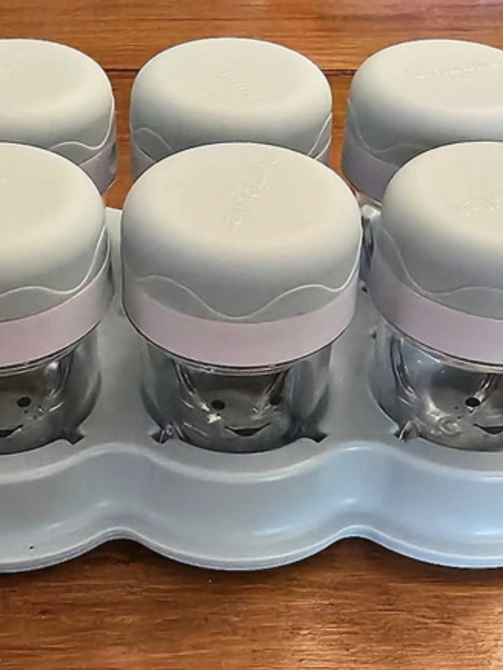 Baby Nutri-Bullet Six-Piece Food Storage Set